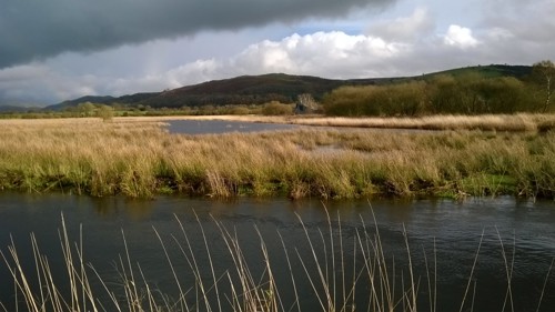 Cors Caron National Nature Reserve