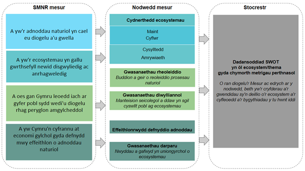 Mae templed y Rhestr Adnoddau Naturiol yn disgrifio 4 mesur Rheoli Adnoddau Naturiol yn Gynaliadwy (SMNR) ac yn nodi'r priodoleddau perthnasol ar gyfer pob un o'r mesurau. Mesur 1 – mae Adnoddau Naturiol yn cael eu diogelu a'u gwella – fe’i hasesir yn ôl maint a chyflwr yr Adnoddau Naturiol mewn Ecosystem. Mesur 2 – Mae Ecosystemau yn gallu gwrthsefyll newidiadau disgwyliedig a rhai na ragwelwyd – fe'i hasesir gan briodoleddau gwytnwch – ehangder, cyflwr, cysylltedd ac amrywiaeth. Mesur 3 - Mannau iach i bobl, wedi'u diogelu rhag risgiau amgylcheddol – fe’i hasesir gan y gwasanaethau rheoleiddio a diwylliannol a ddarperir. Mesur 4 – Economi gylchol gyda defnydd mwy effeithlon o adnoddau naturiol – fe’i hasesir drwy effeithlonrwydd y defnydd o adnoddau a’r gwasanaethau cyflenwi a ddarperir gan Ecosystem. Caiff y rhestr ei llunio drwy gynnal dadansoddiad SWOT gan edrych ar y cryfderau, gwendidau, cyfleoedd a’r bygythiadau i gyflawni'r gwaith o reoli adnoddau naturiol yn gynaliadwy gan adnabod metrigau addas, ansoddol neu feintiol, i ddisgrifio hyn.