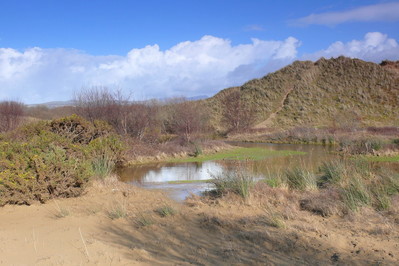 Morfa Harlech, National Nature Reserve near Harlech Meirionnydd